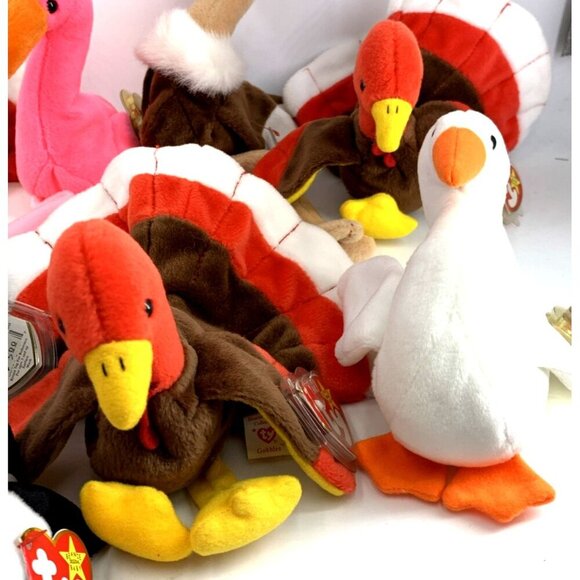 TY Beanie Babies Birds Lot of 9 Vintage - Picture 5 of 6